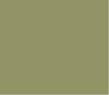 Olive - Oracal 631 Removable Vinyl